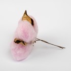 Сухие цветы хлопка, набор 3 шт., размер 1 шт. 6 × 6 см, цвет розовый - фото 8455124