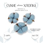 Сухие цветы хлопка, набор 3 шт., размер 1 шт. 6×6 см, голубые - Фото 1