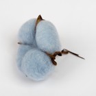 Сухие цветы хлопка, набор 3 шт., размер 1 шт. 6×6 см, голубые - Фото 2