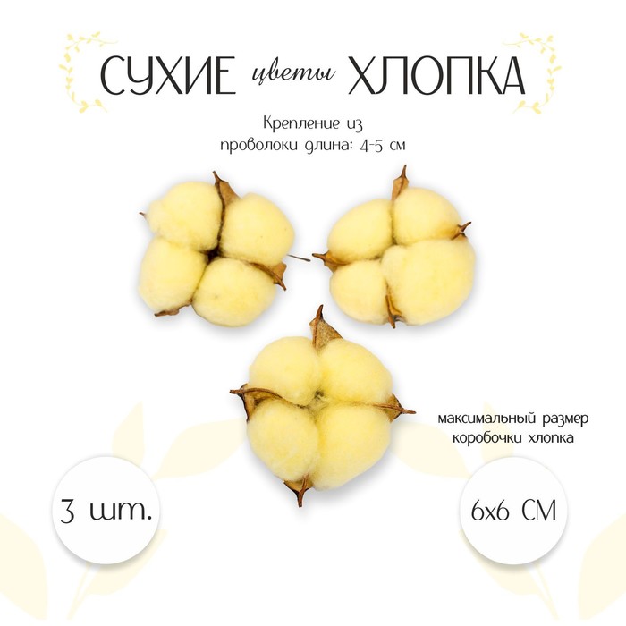 Сухие цветы хлопка, набор 3 шт., размер 1 шт. 6 × 6 см, цвет жёлтый - Фото 1