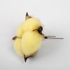 Сухие цветы хлопка, набор 3 шт., размер 1 шт. 6 × 6 см, цвет жёлтый - Фото 2