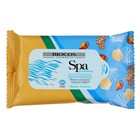 Салфетки влажные BioCos Spa Freshness «Морская свежесть», 15 шт. 4289632 - фото 3803237