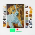 Алмазная мозаика с частичным заполнением на подрамнике «Пёс», 30 х 40 см - Фото 4