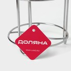 Держатель - стойка для туалетной бумаги Доляна, 14.5×15×48 см - Фото 8