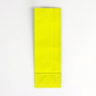 Пакет бумажный фасовочный, глянцевый, светло-зелёный, 7 х 4 х 21 см (комплект 20 шт) - фото 20921920