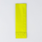 Пакет бумажный фасовочный, глянцевый, салатовый, 5,5 х 3 х 17 см (комплект 20 шт) - фото 20921953