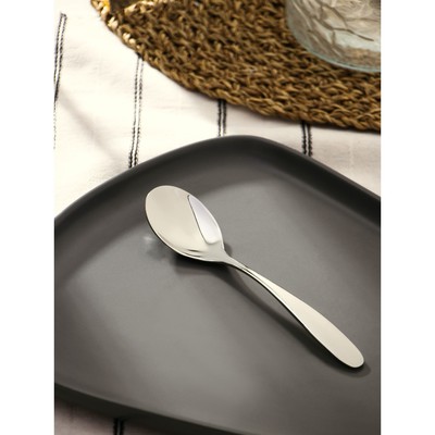 Ложка чайная из нержавеющей стали «Марио», длина 16 см, серебристая