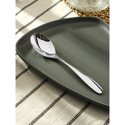 Ложка столовая из нержавеющей стали «Марио», длина 20 см, серебристая