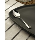 Ложка чайная из нержавеющей стали «Батиста», длина 14 см, серебристая - Фото 1