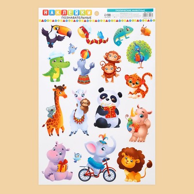 Развивающие наклейки для дома «Изучаем зверей», 24 × 37 см