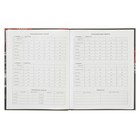 Дневник для 1-11 классов «Автовзгляд», интегральная обложка, матовая ламинация, металлизация, 48 листов - Фото 4