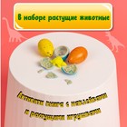 Активити книга с наклейками и растущими игрушками «Динозавры», 12 стр. - фото 5022526