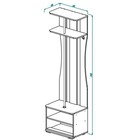 Прихожая ПР-10 2070х610х400 Дуб выбеленный/Венге - Фото 2