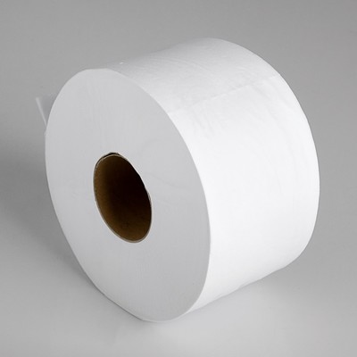 Туалетная бумага белая с перфорацией, для диспенсера, 2 слоя, 160 метров - Фото 1