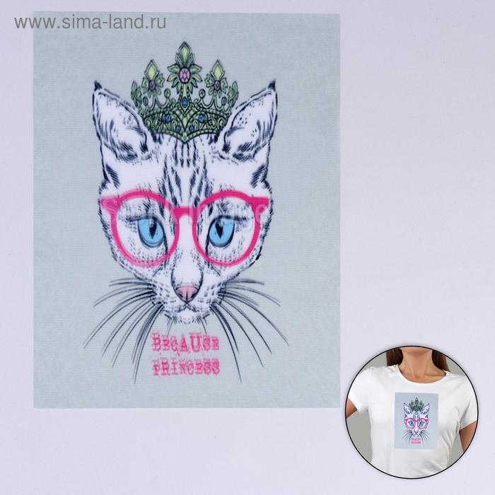 Пришивная аппликация «Кошка в очках», 3D, 27 × 20 см - Фото 1