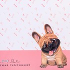 Коврик под миску «Кто это тут такой толстенький?» 43×28 см - Фото 5