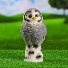 Садовая фигура из гипса «Сова на дереве», 26 см, МИКС - Фото 2