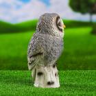 Садовая фигура из гипса «Сова на дереве», 26 см, МИКС - Фото 3