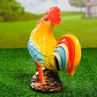Садовая фигура из гипса «Петух Петя», h=29 см - Фото 9