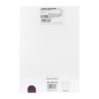 Ежедневник недатированный, формат А5, 116 листов, клетка, обложка пвх, ЛАЙТ, тонированный срез, МИКС - фото 809630249