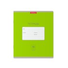 Тетрадь 18 листов в клетку ErichKrause Bright «Классика», МИКС - Фото 2