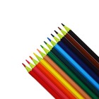 Карандаши 12 цветов ErichKrause ArtBerry премиум, пластик, шестигранные, 2.6 мм грифель, картонная упаковка, европодвес - Фото 7