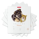 Тетрадь 12 листов в клетку ErichKrause ErichKrause "Дружба", обложка мелованный картон, блок офсет 100% белизны, МИКС (1 вид в спайке) - Фото 1