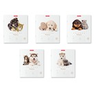 Тетрадь 12 листов в клетку ErichKrause ErichKrause "Дружба", обложка мелованный картон, блок офсет 100% белизны, МИКС (1 вид в спайке) - Фото 2