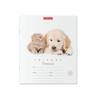 Тетрадь 12 листов в клетку ErichKrause ErichKrause "Дружба", обложка мелованный картон, блок офсет 100% белизны, МИКС (1 вид в спайке) - Фото 4