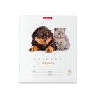 Тетрадь 12 листов в клетку ErichKrause ErichKrause "Дружба", обложка мелованный картон, блок офсет 100% белизны, МИКС (1 вид в спайке) - Фото 5