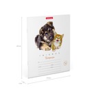 Тетрадь 12 листов в клетку ErichKrause ErichKrause "Дружба", обложка мелованный картон, блок офсет 100% белизны, МИКС (1 вид в спайке) - Фото 10