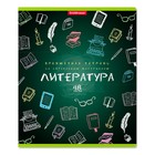 Тетрадь предметная Erich Krause «К доске!», 48 листов линейка «Литература», белизна 100%, картонная обложка 190 г/м², справочный материал 8 страниц 4296156 - фото 11692549