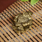 Нэцке полистоун бронза "Денежная жаба на монетах со слитками золота" 3х4х5 см - Фото 5