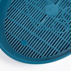 Туалет с сеткой «Киса», 37×27×4 см, синий - Фото 5