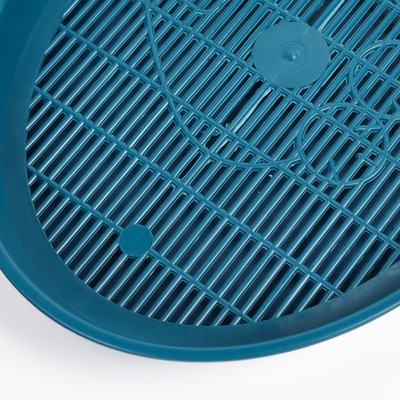 Туалет для кошек «Киса», 37×27×4 см, с сеткой, пластик, синий