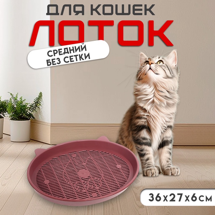 Туалет с сеткой "Киса", 36 х 27 х 6 см, красный - Фото 1