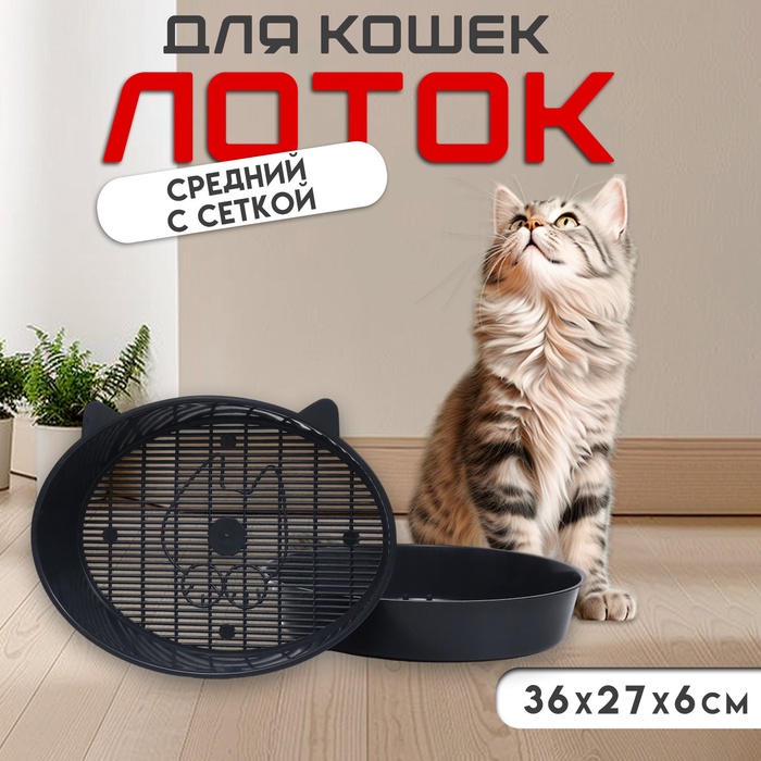 Туалет с сеткой "Киса", 36 х 27 х 6 см, серый микс - Фото 1