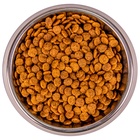 Сухой корм Monge Cat Urinary для кошек, профилактика МКБ, 1.5 кг - Фото 6