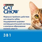 Сухой корм CAT CHOW FELINE 3в1 для кошек,  птица/индейка, 15 кг - Фото 3