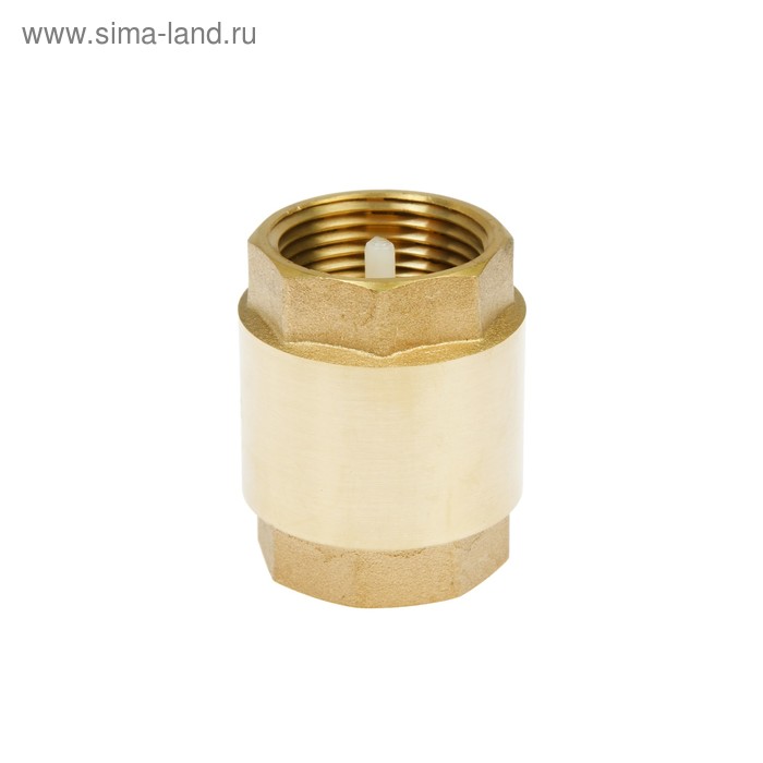 Клапан обратный «СТМ», 1" - Фото 1