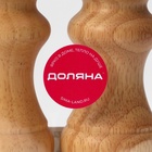 Набор для специй Доляна «Комфорт», 2 предмета: мельница и солонка, бежевый - Фото 13