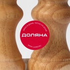 Набор для специй Доляна «Комфорт», 2 предмета: мельница и солонка, бежевый - Фото 25