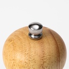 Набор для специй Доляна «Комфорт», 2 предмета: мельница и солонка, бежевый - Фото 10