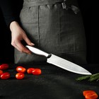 Нож кухонный «Металлик», лезвие 17,5 см, цвет серебристый - Фото 5