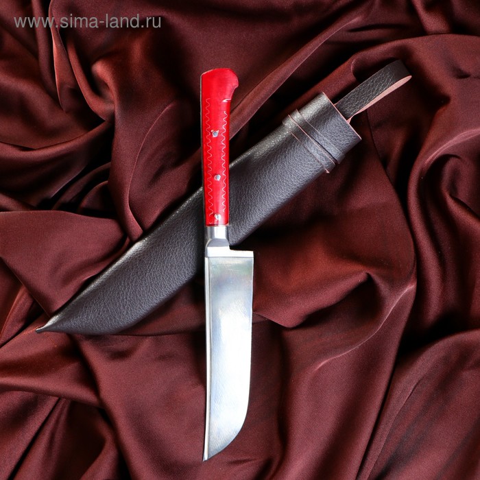 Нож Пчак Шархон - оргстекло, ёрма, гарда олово ШХ-15, клинок 11-12 см МИКС - Фото 1