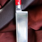 Нож Пчак Шархон - оргстекло, ёрма, гарда олово ШХ-15, клинок 11-12 см МИКС - Фото 2