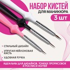 Набор кистей для дизайна ногтей «Волос», 3 шт, 16,5 см, разноцветный - Фото 1