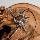Кулон унисекс "Скорпион", цвет серебро, 48см - фото 11826214