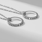 Кулоны «Неразлучники» friends forever, кольца, цвет серебро, 45 см - фото 8457801