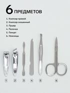 Набор маникюрный «Пейзаж», 6 предметов, в футляре, МИКС - Фото 2